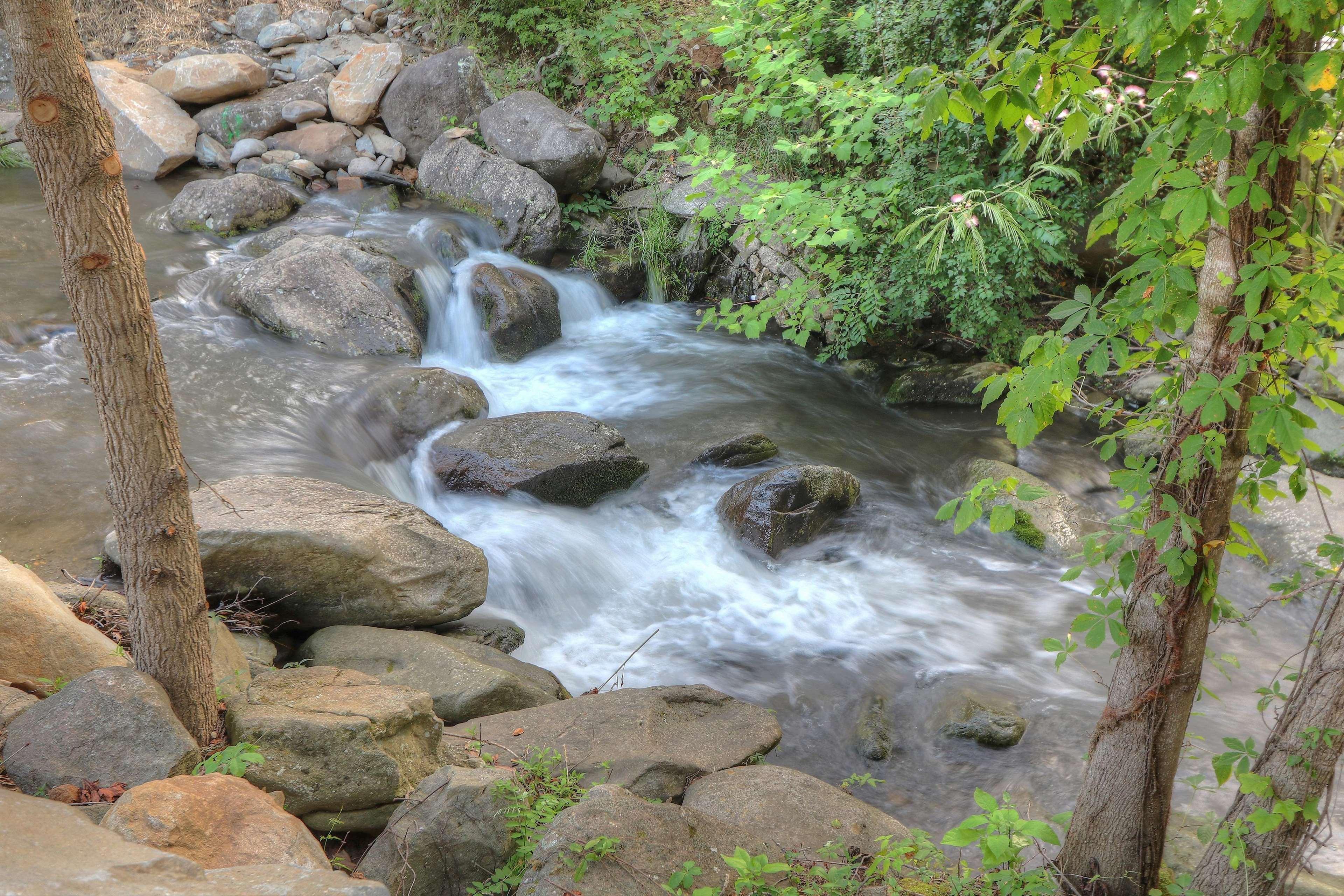 Hampton Inn Gatlinburg Historic Nature Trail, Tn Экстерьер фото