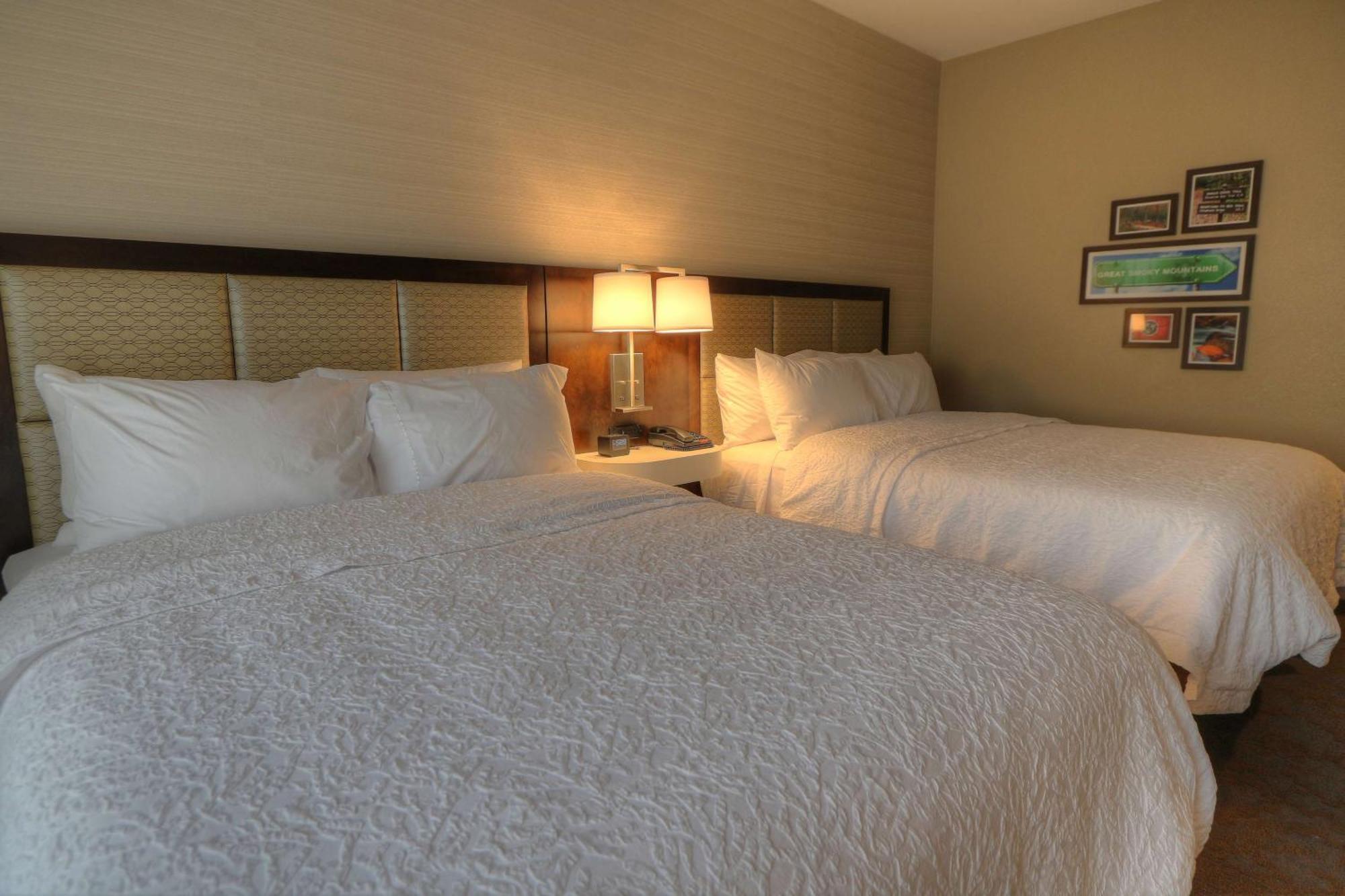 Hampton Inn Gatlinburg Historic Nature Trail, Tn Экстерьер фото